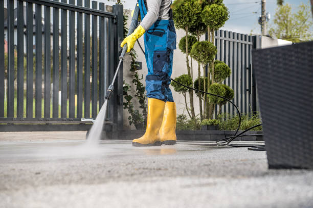 Best Exterior Home Cleaning  in Luverne, AL