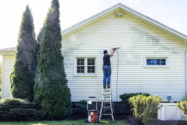 Best Roof Pressure Washing  in Luverne, AL
