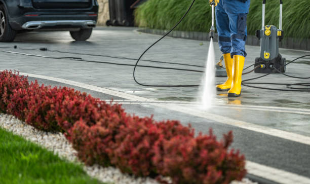 Best Roof Power Washing Services  in Luverne, AL
