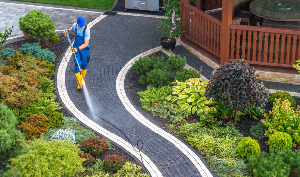 Best Pressure Washing Company Near Me  in Luverne, AL